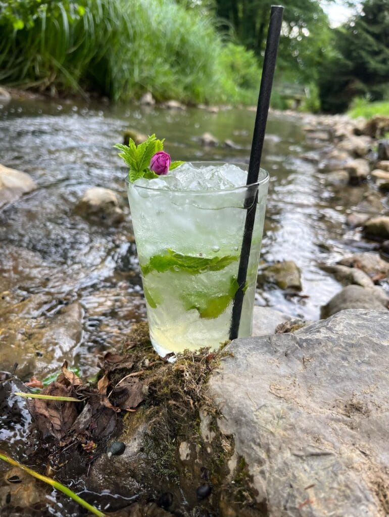 Bar Bazenček — Limonada reka
