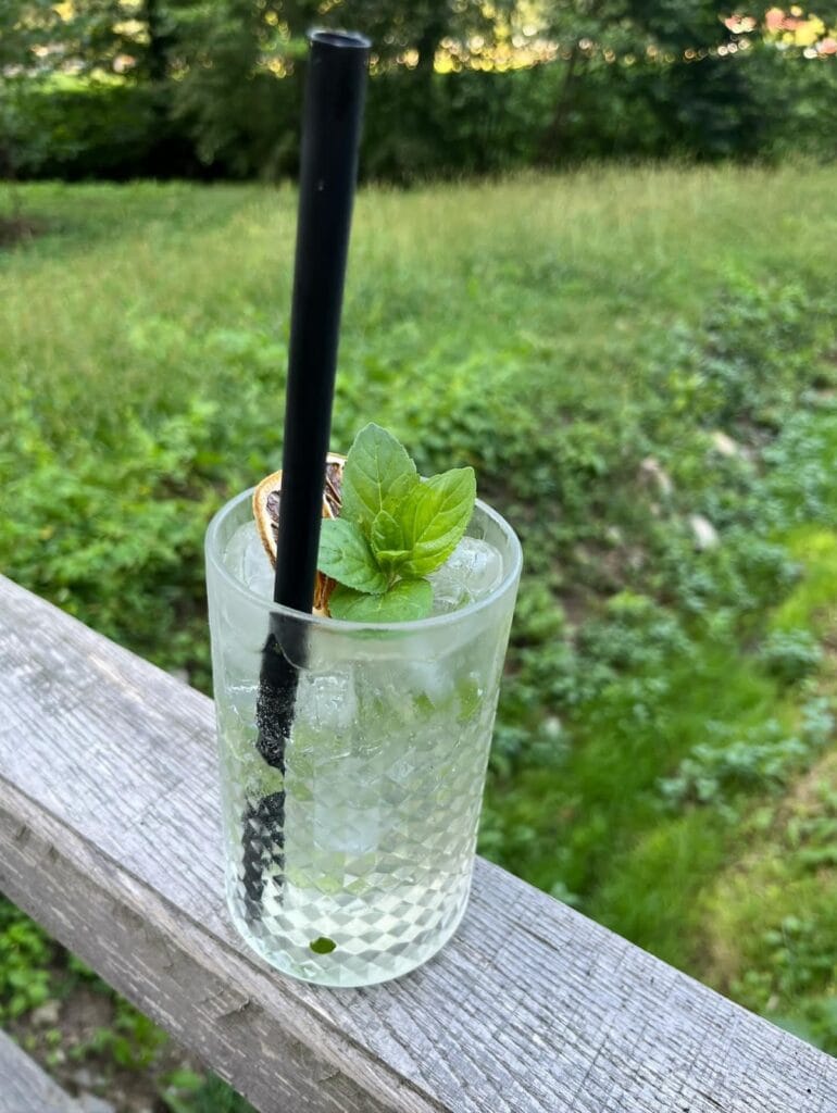 Bar Bazenček — Limonada trim